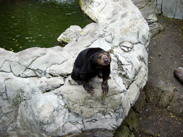 FW-Zoo_662