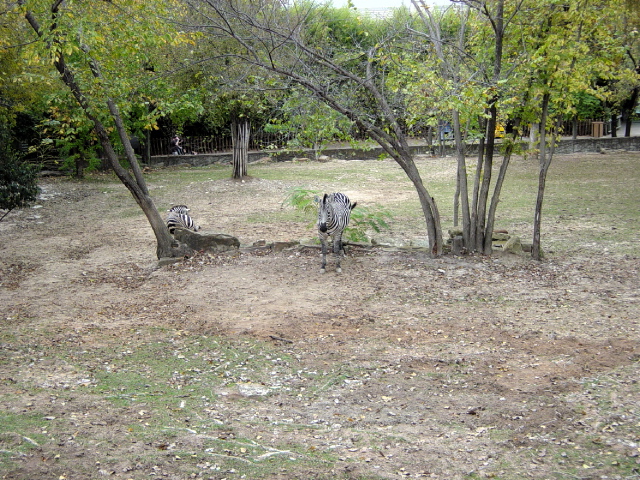 FW-Zoo_665