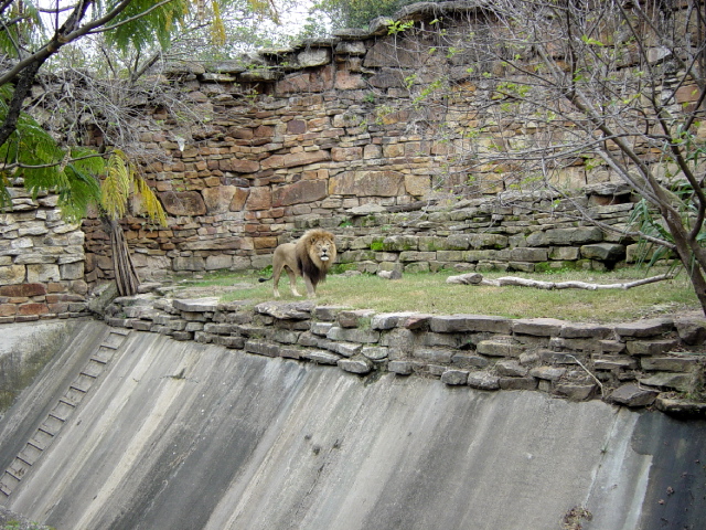 FW-Zoo_666