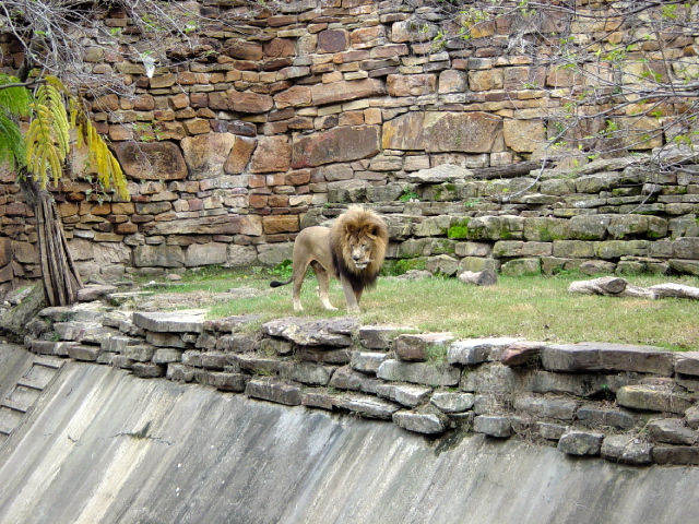 FW-Zoo_667