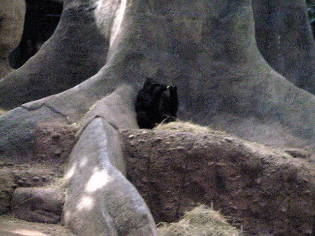 FW-Zoo_670