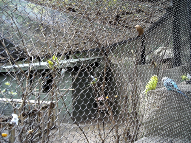 FW-Zoo_678