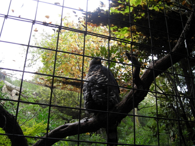 FW-Zoo_683