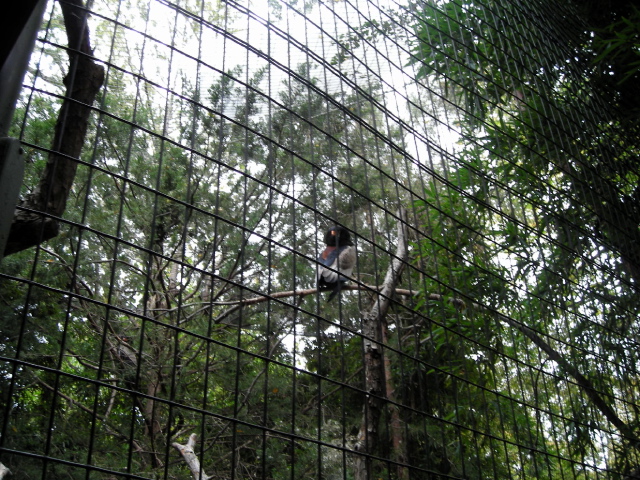FW-Zoo_684