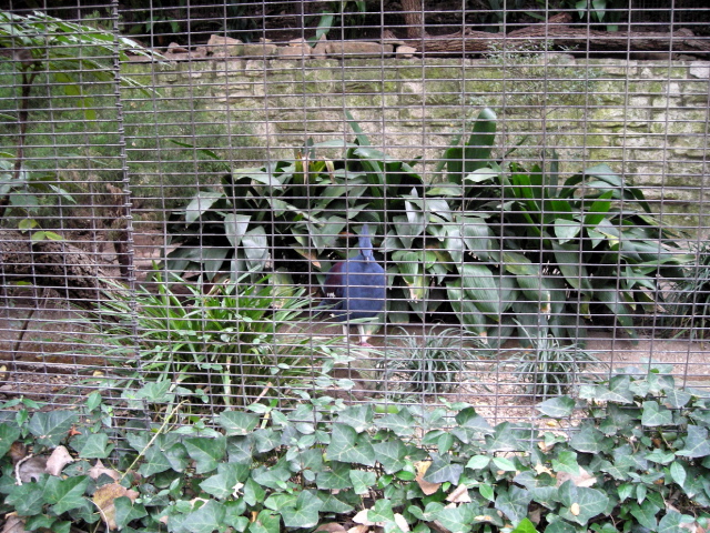 FW-Zoo_688