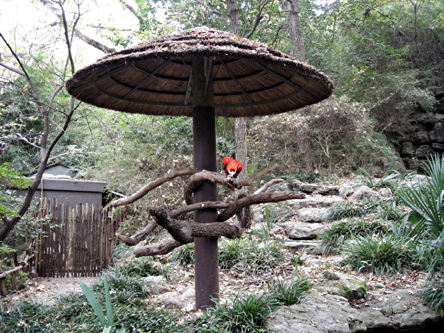 FW-Zoo_690