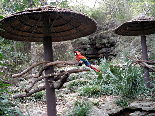 FW-Zoo_691