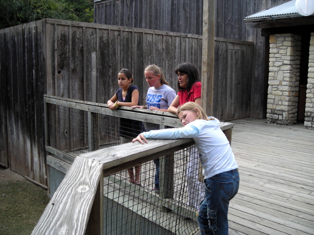 FW-Zoo_695