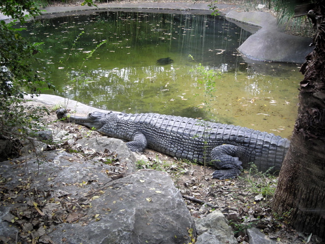 FW-Zoo_698