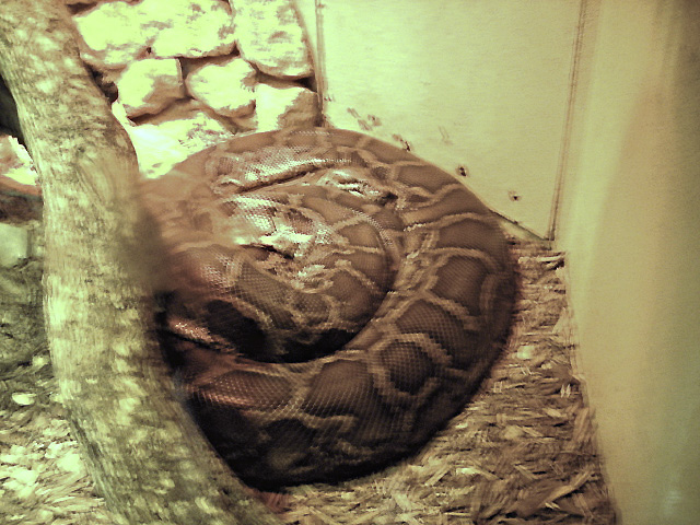 FW-Zoo_700