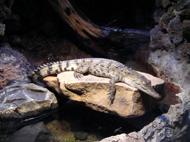 FW-Zoo_703