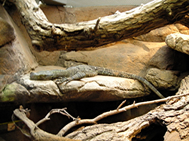 FW-Zoo_706