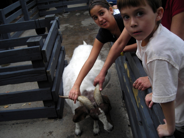 FW-Zoo_709
