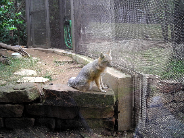 FW-Zoo_714