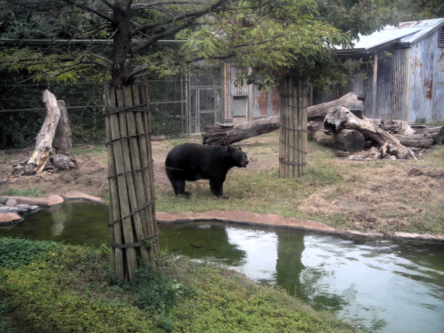 FW-Zoo_715