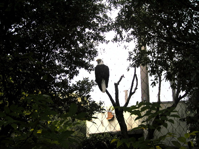 FW-Zoo_717
