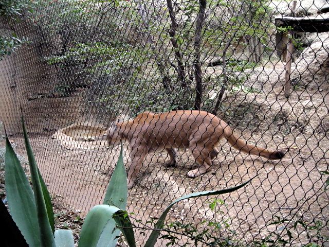 FW-Zoo_718