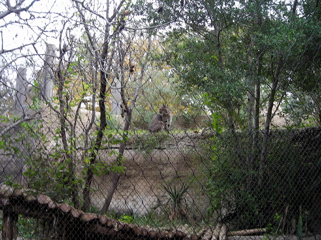 FW-Zoo_722