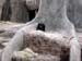 FW-Zoo_609