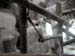 FW-Zoo_612