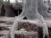 FW-Zoo_613