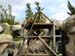 FW-Zoo_614