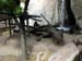 FW-Zoo_618