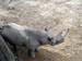 FW-Zoo_619