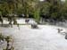 FW-Zoo_620