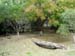 FW-Zoo_623