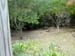 FW-Zoo_624