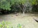 FW-Zoo_625