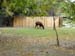 FW-Zoo_628