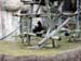 FW-Zoo_629