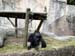 FW-Zoo_630