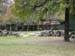 FW-Zoo_632