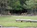 FW-Zoo_633