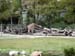 FW-Zoo_640