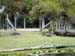 FW-Zoo_645