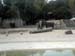 FW-Zoo_650