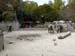 FW-Zoo_651