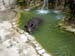 FW-Zoo_652