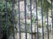 FW-Zoo_656