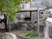 FW-Zoo_657