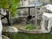 FW-Zoo_658