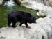 FW-Zoo_659