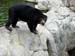 FW-Zoo_660