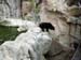 FW-Zoo_661