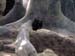 FW-Zoo_670