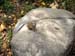 FW-Zoo_671